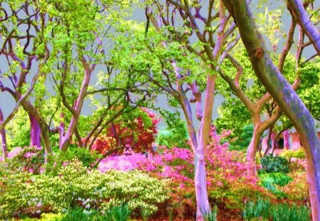 The Beauty Of Nature - Trees, Springs, Nature, Flowers, Paintings