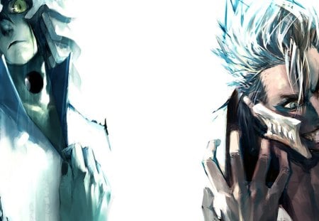 ulquiorra & grimmjow - ulquiorra, bleach, anime, grimmjow, espasda