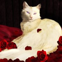 âœ¼.White Cat & Red Roses.âœ¼