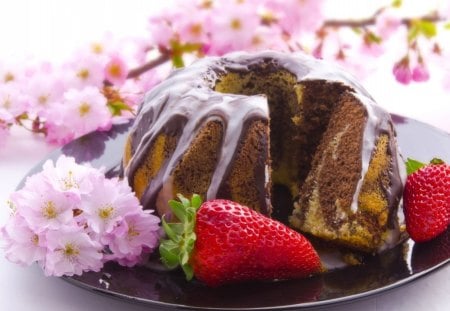 Chocolate cake - strawberry, desserts, delicious, food, chocolate, sweets, cake