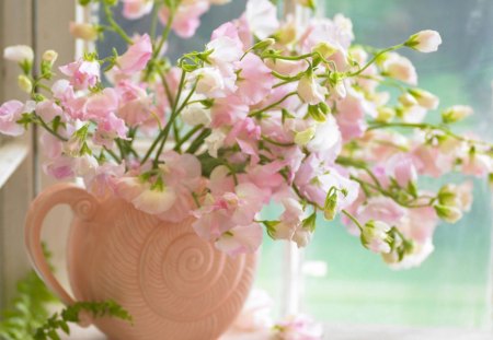 pink flowers - nature, flowers, gorgeous, pink