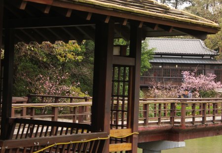 Bridge On Lake - hsin-chu, tree, taiwan, sakura