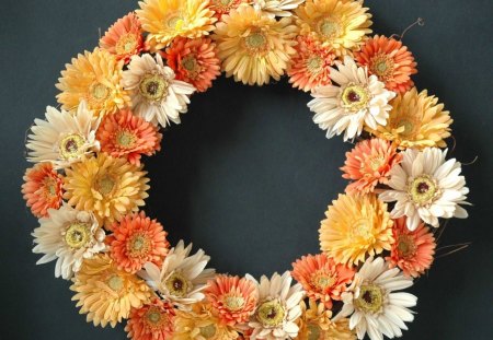 Flower wreath - flowers, petals, gerbera, wreath