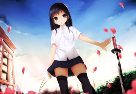 Anime - anime, katana, girl, cute, sword