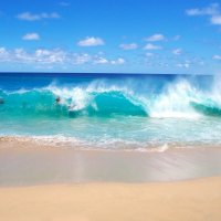 Fun In The Ocean