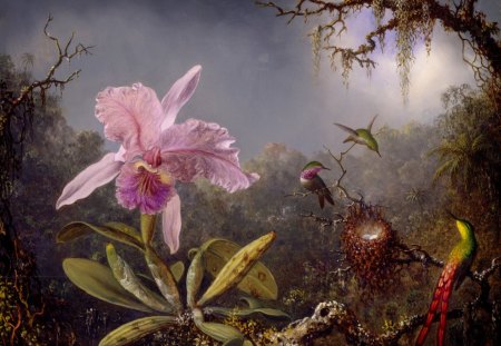 Orchid Fantasy - flowers, trees, fantasy, birds, nest, plaints, orchid