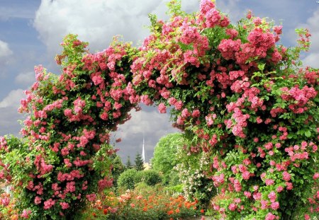 Rose Arch - flowers, clouds, roses, trees, sky