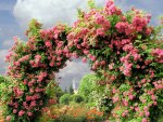 Rose Arch