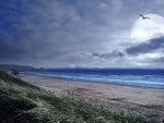 huge moon over lonely beach