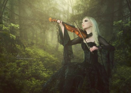 Jaded Harmony - harmony, melody, lady, violin, forest