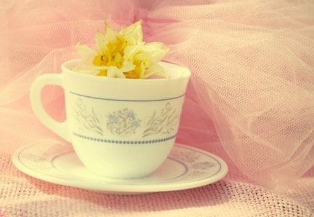 Morning Mug - morning, flower, mug, soft