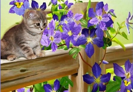 cute cat...... - butterfly, flowers, cute, cat