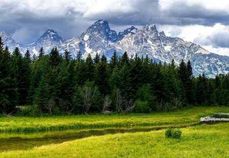 Skardu Pakistan - beautiful, most, forest, skardu