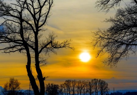 SUNSET - nature, sky, sunset, trees