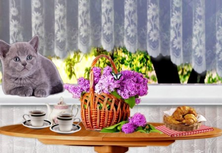 Good morning! - basket, flowers, cat, cofee