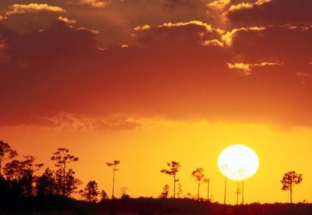 Setting Sun over the Swampland - florida, setting, everglades national park, swampland, sun