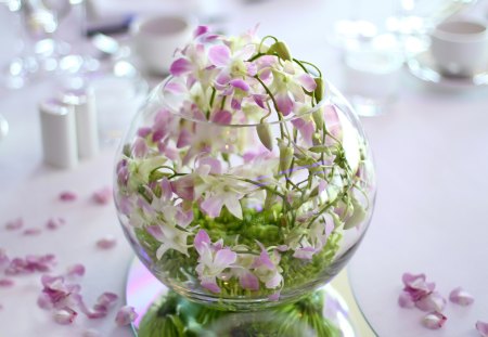 Still life - abstract, vase, shades, orchid, beauty, spring, kettle, pink, still life, flowers, purple, scent, floral, cup, other