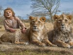 Boy and lions