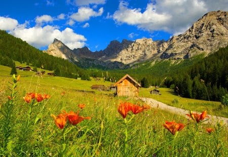 Mountain cabin - nice, hut, cottage, sky, slope, countryside, spring, villa, pretty, green, house, grass, mountain, summer, peaks, lovely, nature, village, beautiful, delight, flowers, cabin