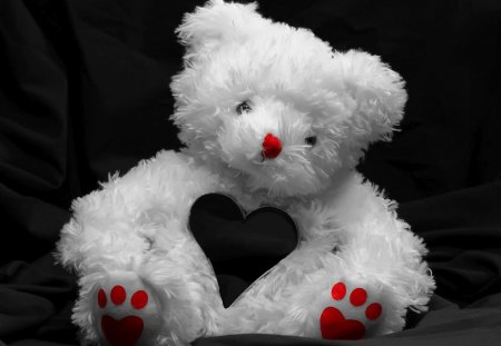 stuffed bear - animal, white, bear, cuddles