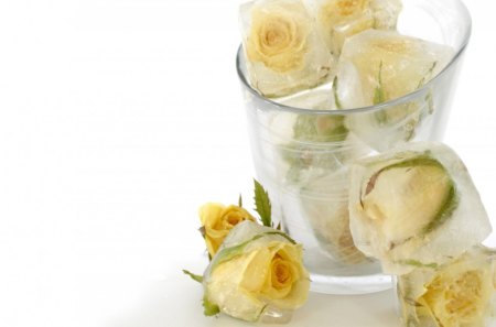 Ice Rose - cubes, white, glass, roses, flowers, ice, cold