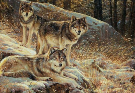 Wolfpack - wolf, wolves, predator, artwork