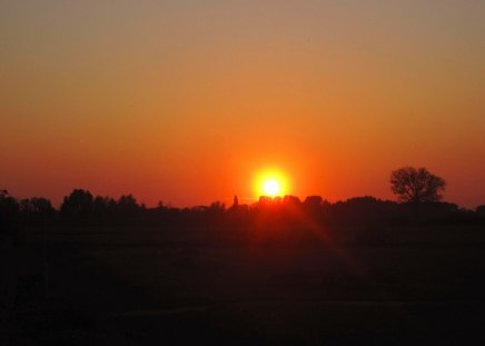 Suns@ - trees, sunset, nature, beautiful, red, sunsets, tree, sky