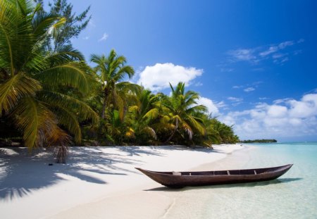 boat on white sand - beach, palm, sand, sea