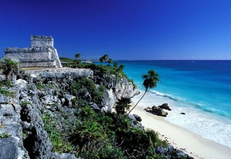 mexican sea - mexican, sea, beach, palm