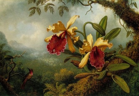 Gold And Red Orchids - orchids, trees, forest, flowers, fantasy, bird