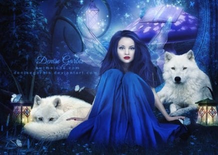 Beautiful Fantasy - abstract, book, butterflies, lamp, wolves, fantasy, dogs, woman, fairy, mushrooms, animals