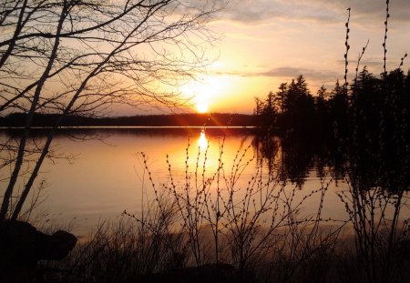 ~~; a hard days night ;~~ - nature, squatchin, eels lake, tailgating, sunset