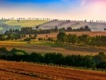 beautiful fields on farms with a windmill