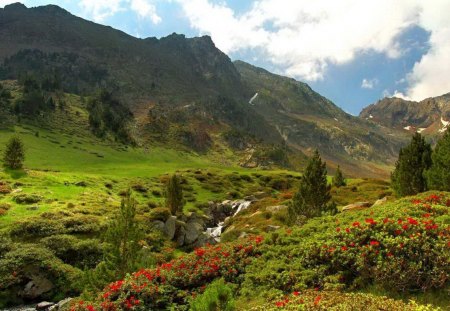 Pyrenees landscape - pretty, creek, landscape, stream, mountain, flowers, nice, sky, greenery, mountainscape, beautiful, slope, Pyrenees, lovely, nature, delight, grasss