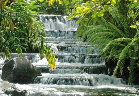 Nature Waterfall - trees, water, nature, waterfall, green