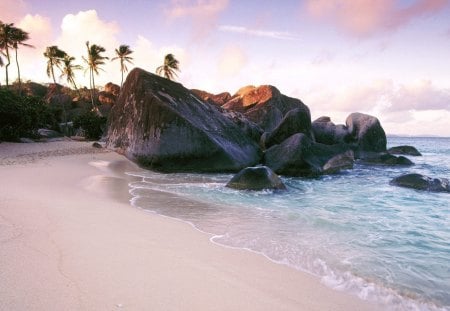 Sandy Beach - nature, tropical, beach, palm trees, exotic, sand