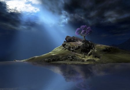 3d and nature fantasy  - nature, abstract, 3d