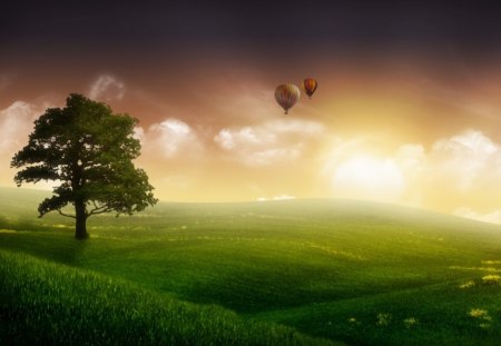 BALOONS n TREE - in air, green tree, two colorful air balloons