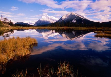 Mount Rundle From Vermillion Lakes  Banff National Park  Canada - nature, landscapes