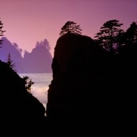 Point Of Arches Olympic National Park Washington