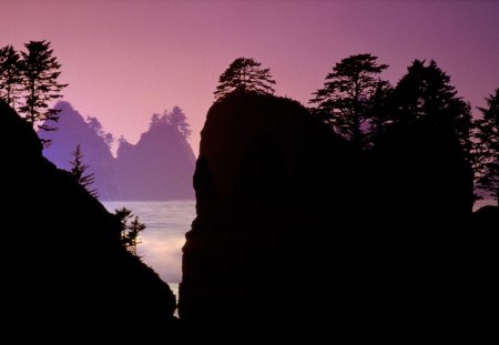 Point Of Arches Olympic National Park Washington - nature, landscapes