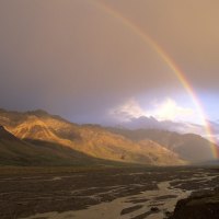 Rainbow Over The Toklat Valley  Alaska Range  Denali National Park  Alaska