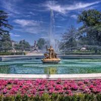 fountain in summer