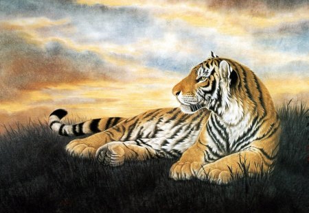 Tiger - tigers, painting