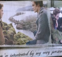 Twilight - bella and edward