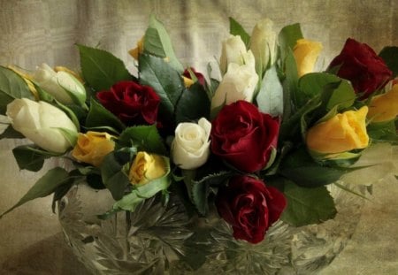 Rose - vase, white, red, roses