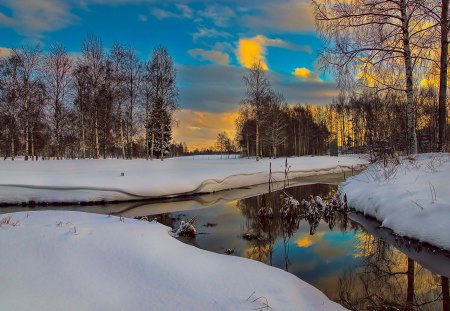 beautiful fork in the rivet in winter - clouds, river, trees, winter, fork, reflection