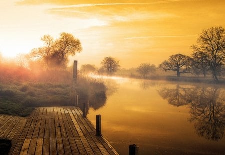 wooden dock on golden river - wood, trees, dock, river, sunset, golden