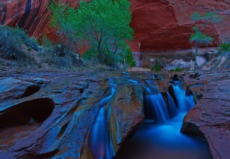 fabulous colors of a canyon stream - trees, canyon, stream, colors, rocks