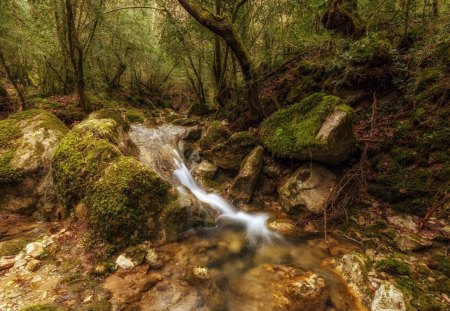 fantastic rocky forest stream hdr - hdr, stream, forest, rocks